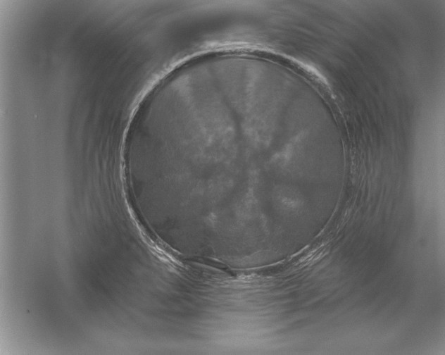 X0000055991279200509092010