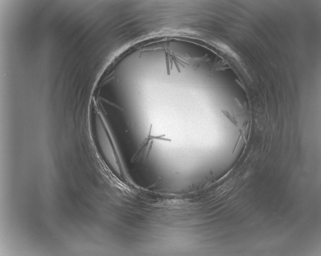 X0000055991280200509092010