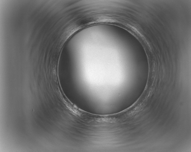 X0000055991281200509092010