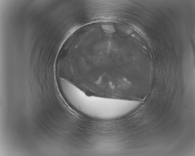 X0000055991283200509092010