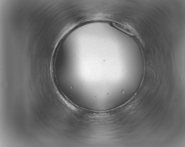 X0000055991285200509092010