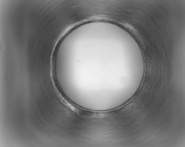 X0000055991286200509092010