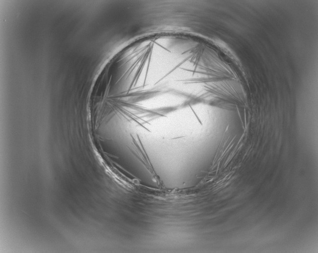 X0000055991287200509092010