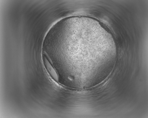 X0000055991288200509092010