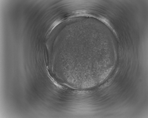 X0000055991289200509092009