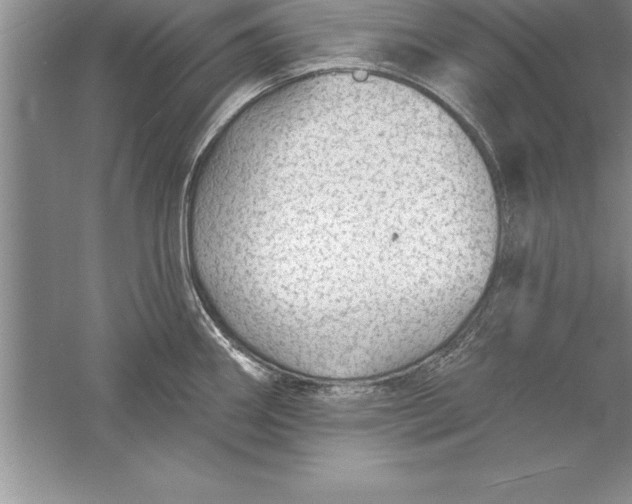 X0000055991290200509092009