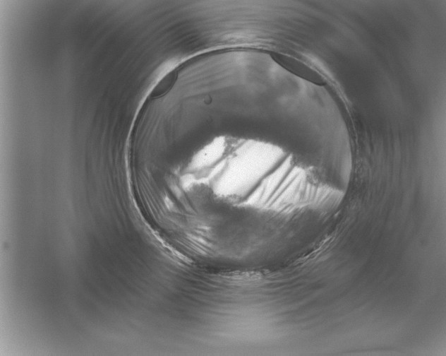 X0000055991291200509092009