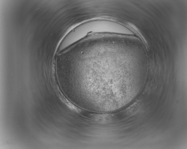 X0000055991292200509092009