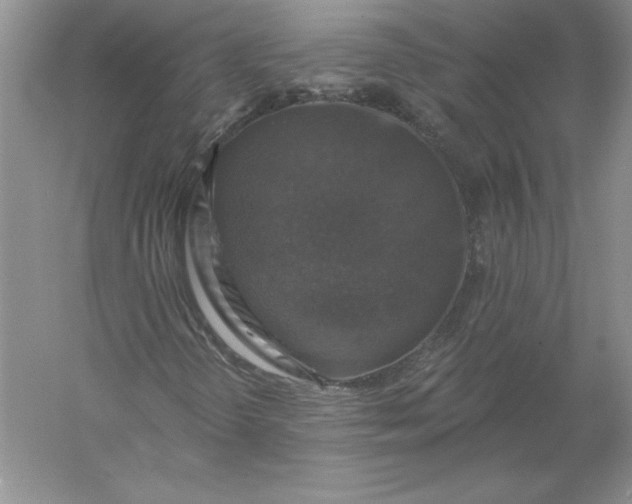 X0000055991298200509092009