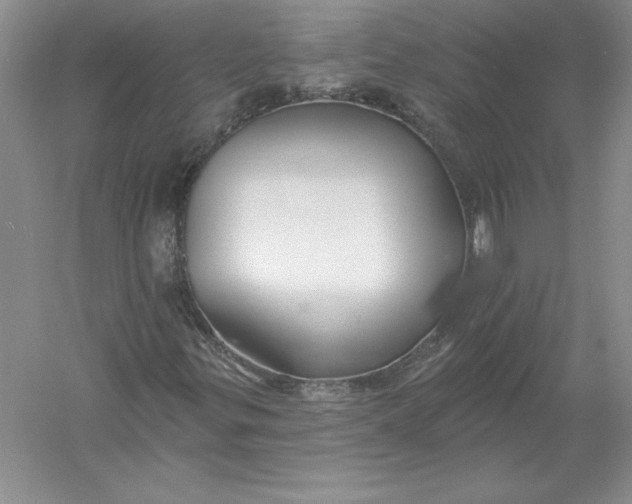 X0000055991299200509092009