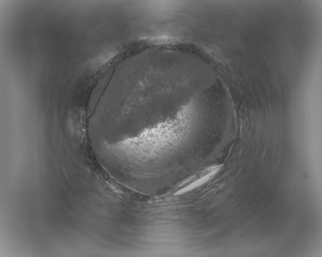 X0000055991301200509092009