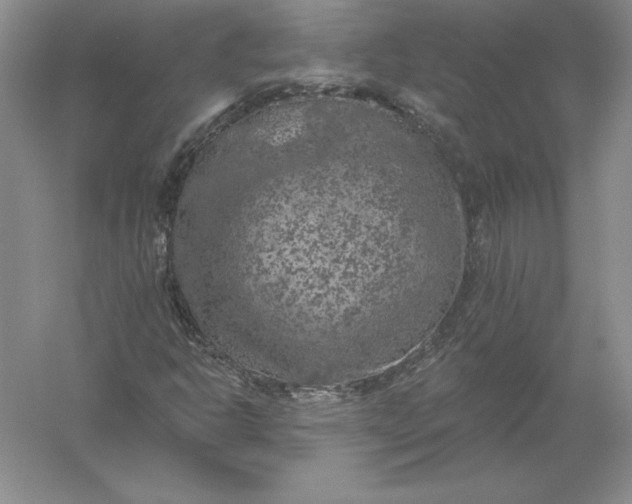 X0000055991302200509092009