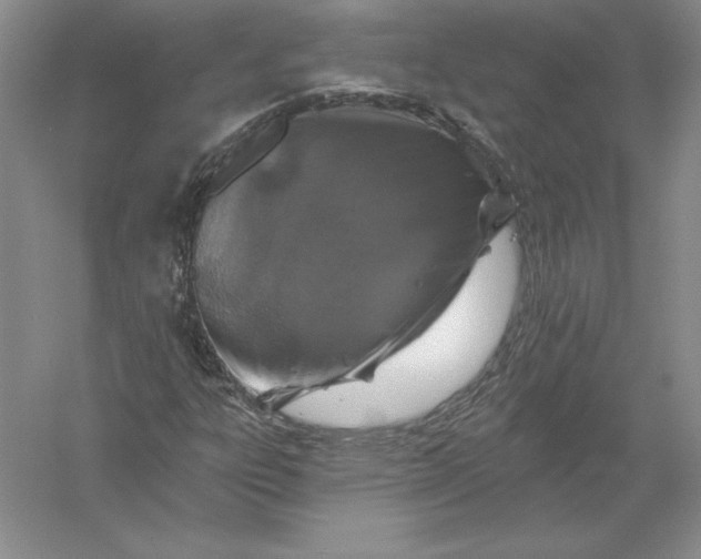 X0000055991303200509092009