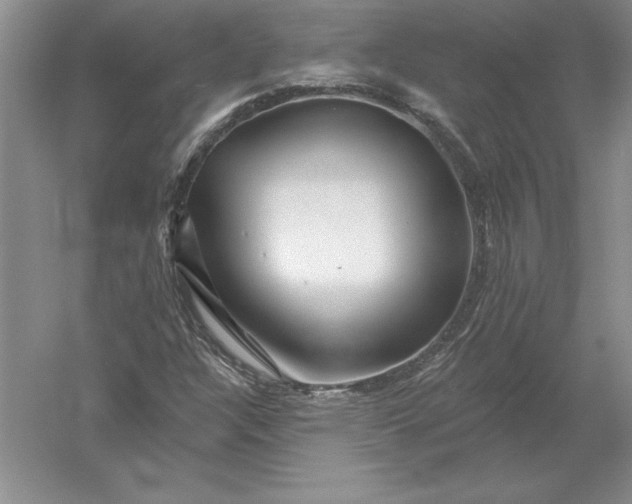 X0000055991304200509092009