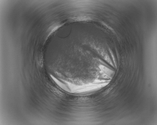 X0000055991306200509092009