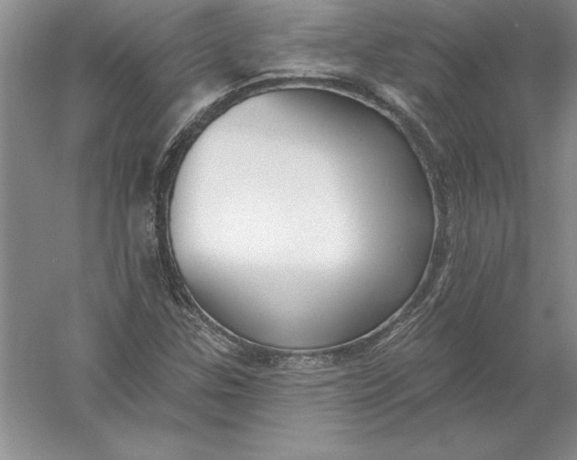 X0000055991307200509092009