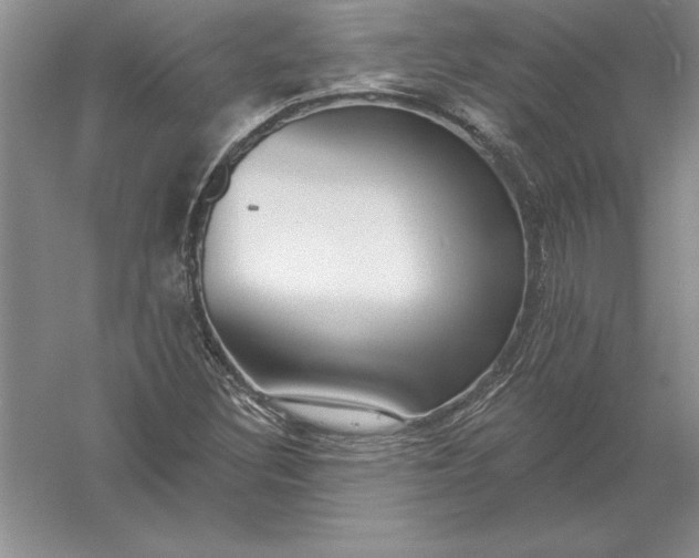 X0000055991308200509092009