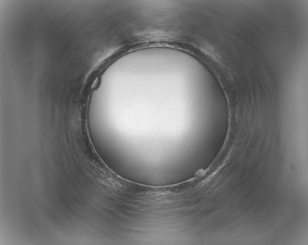 X0000055991309200509092009