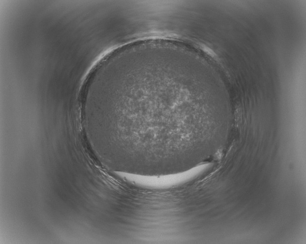 X0000055991310200509092009