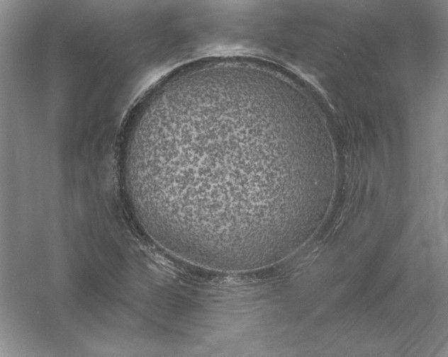 X0000055991311200509092009