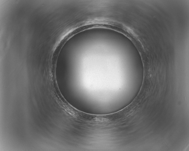 X0000055991312200509092009