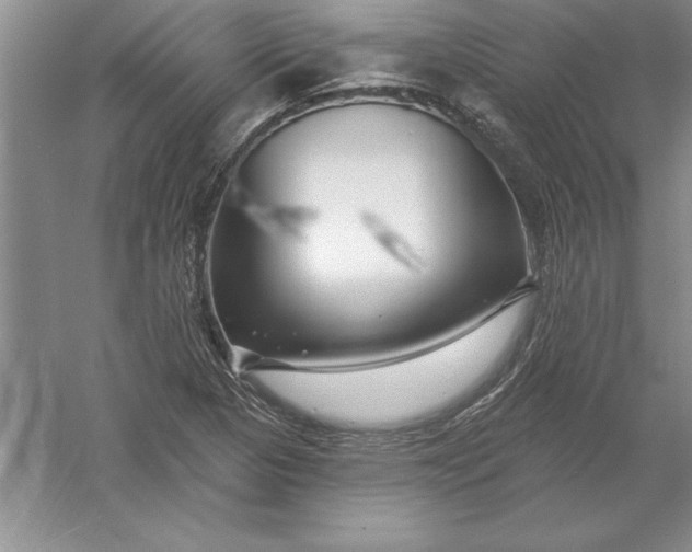 X0000055991313200509092009