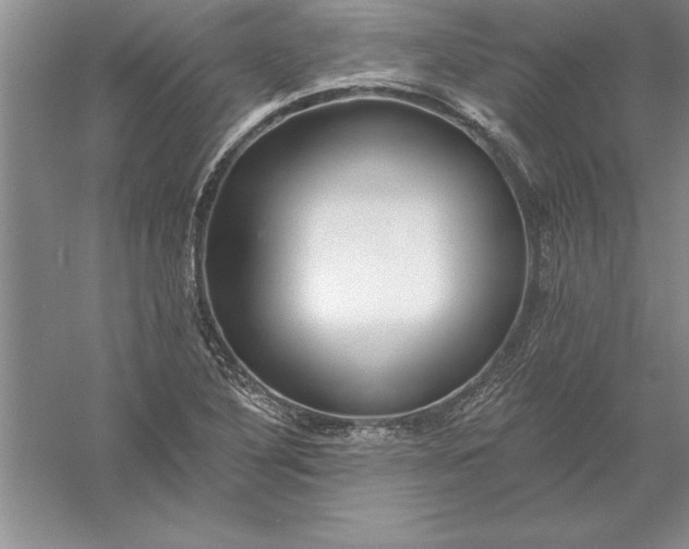 X0000055991316200509092009