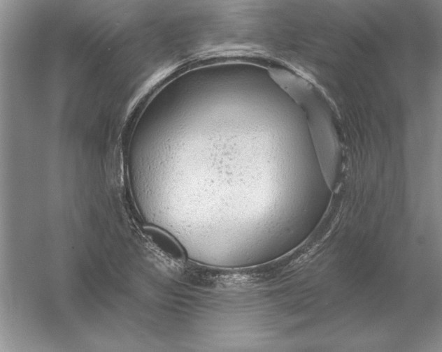 X0000055991317200509092009