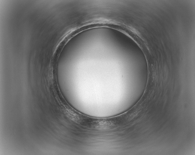 X0000055991318200509092009