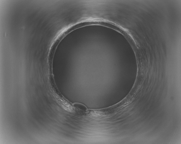 X0000055991319200509092009