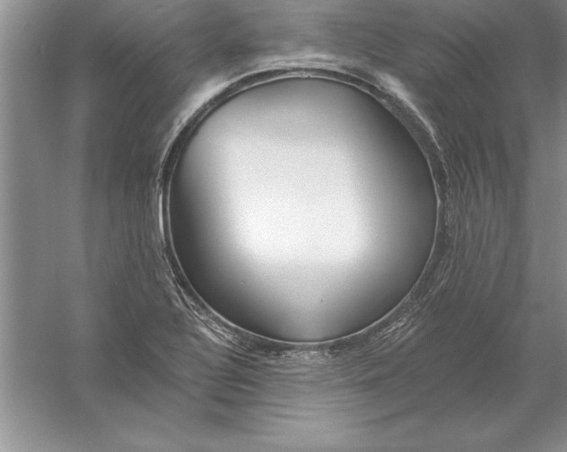 X0000055991320200509092009