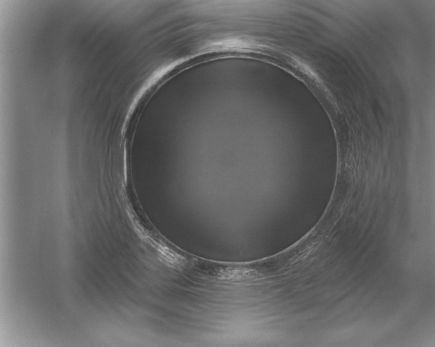 X0000055991323200509092009