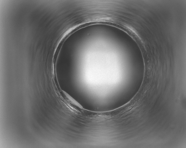 X0000055991324200509092009