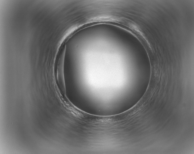 X0000055991328200509092009