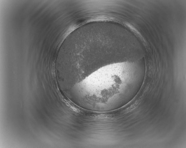 X0000055991329200509092009