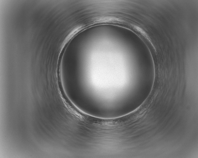 X0000055991330200509092009