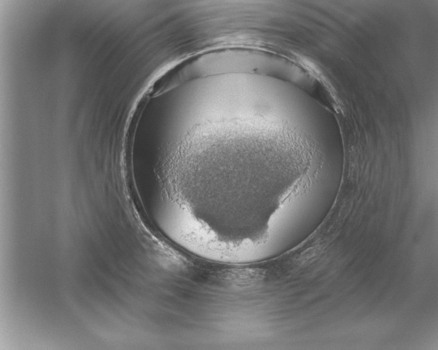 X0000055991331200509092009