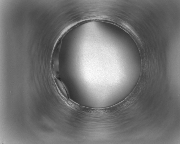 X0000055991332200509092009