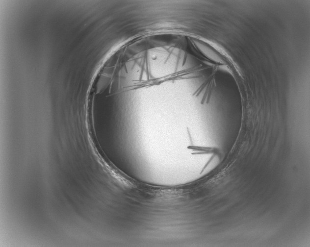 X0000055991333200509092009