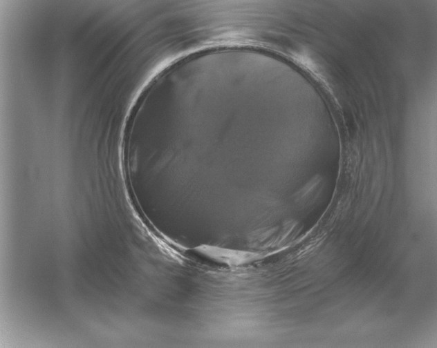 X0000055991334200509092009