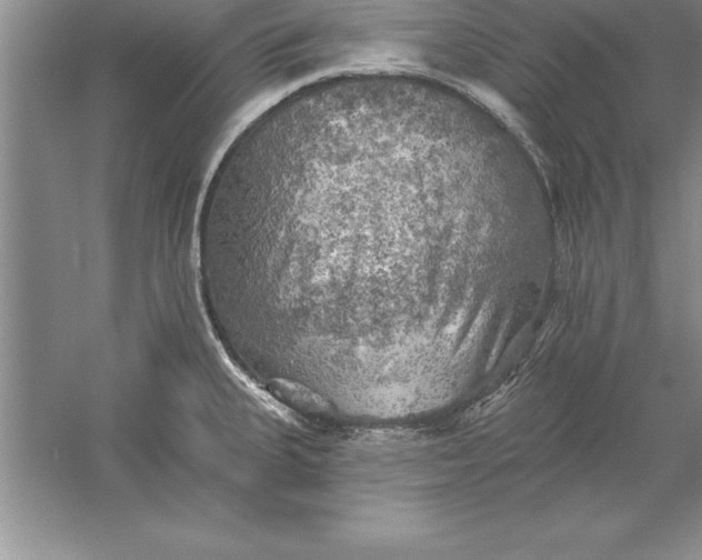 X0000055991335200509092009