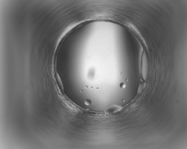 X0000055991336200509092009