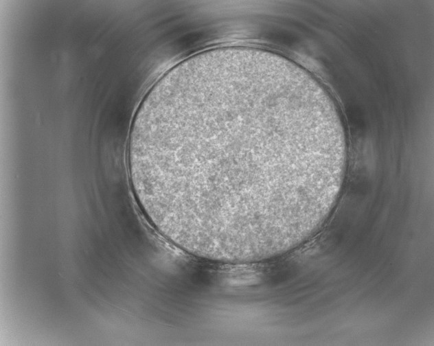 X0000055991338200509092009