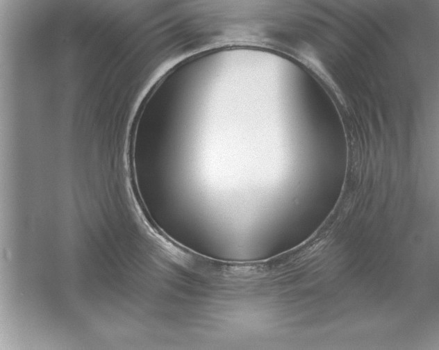 X0000055991339200509092009