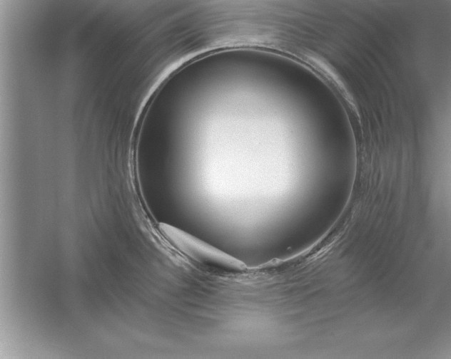 X0000055991340200509092009