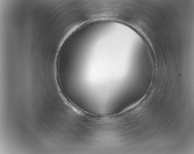 X0000055991341200509092009