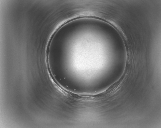 X0000055991342200509092009