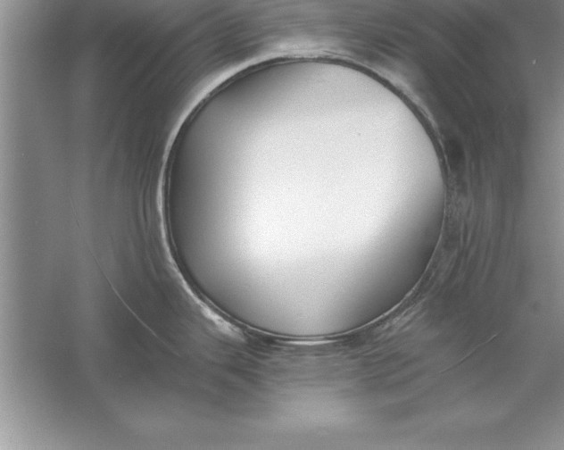 X0000055991343200509092009