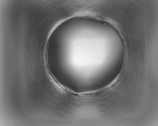 X0000055991344200509092009