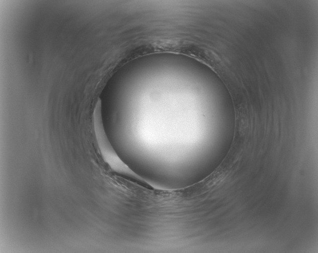 X0000055991345200509092009